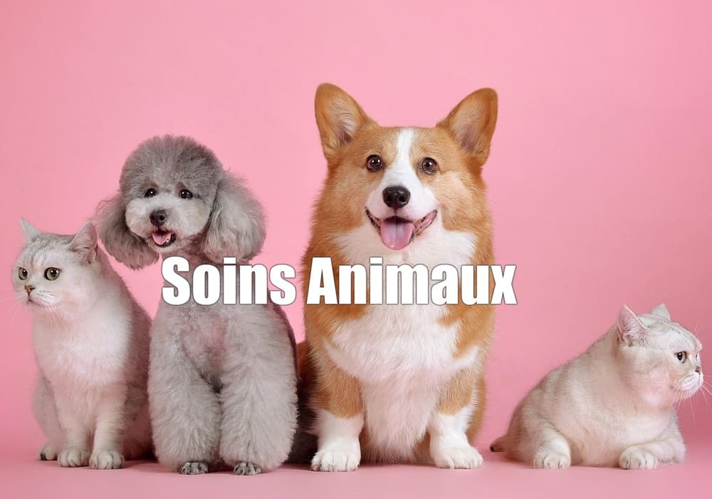 soins animaux